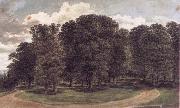 John glover The copse oil painting on canvas